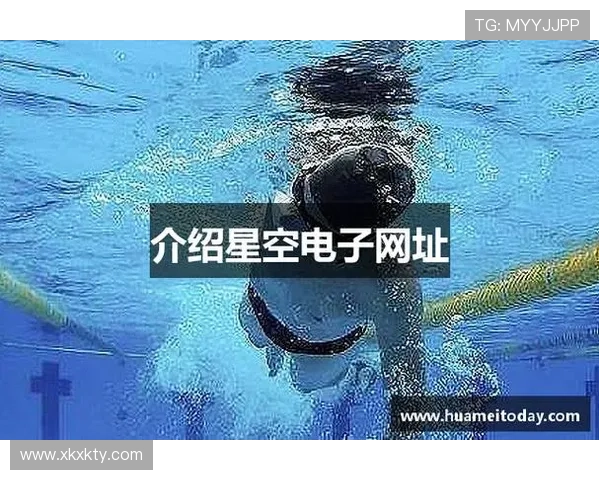 星空官网登录入口：星空平台官方登录入口的常见问题解答与解决方案