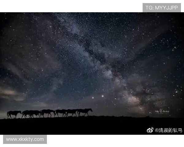 星空体育app官网用户评价与反馈意见汇总分析 星空体育app官网用户评价与反馈意见汇总分析