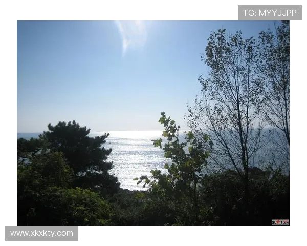 半岛体育注册后如何绑定手机确保账号安全